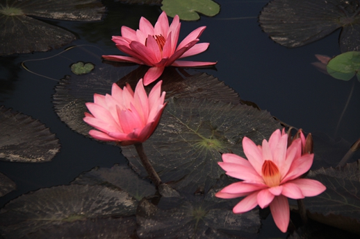 yp街机(中国)电子游戏官网